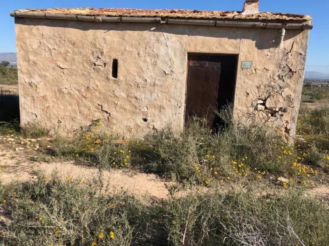 Działka na sprzedaż w Elche / Elx, Alicante photo 2