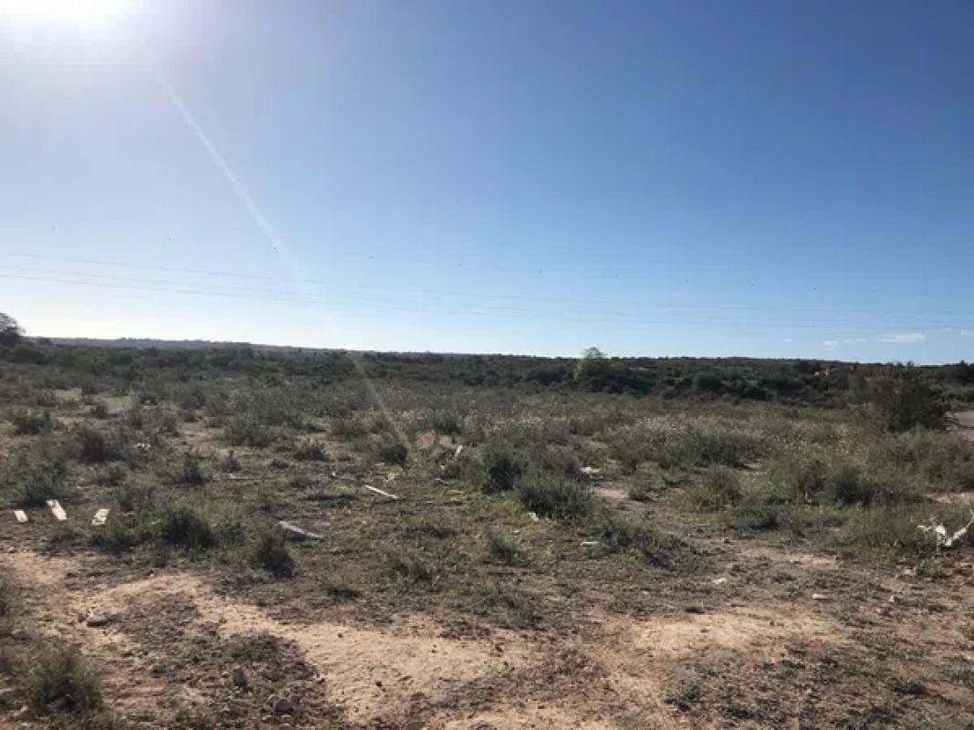 Działka na sprzedaż w Elche / Elx, Alicante photo 4
