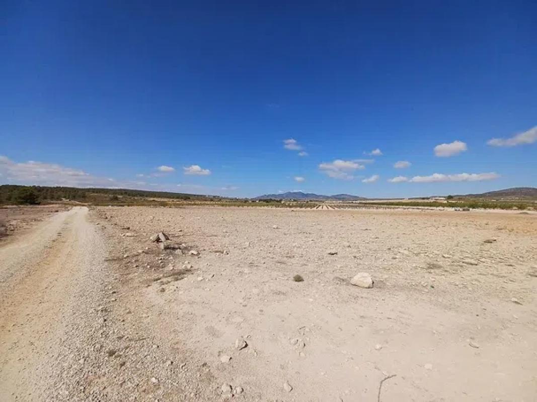Terreno en venta en Pinoso, Alicante photo 4