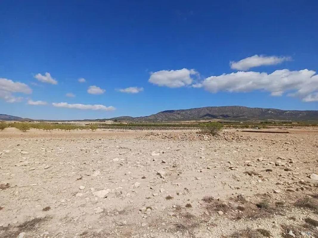 Terreno en venta en Pinoso, Alicante photo 5