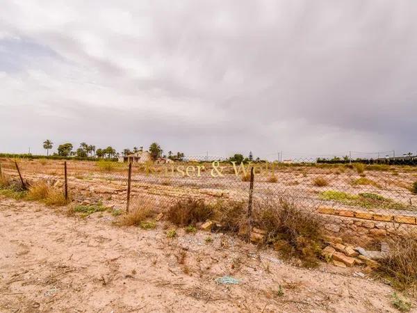 Terreno en carretera Elx - Santa Pola thumbnail 1