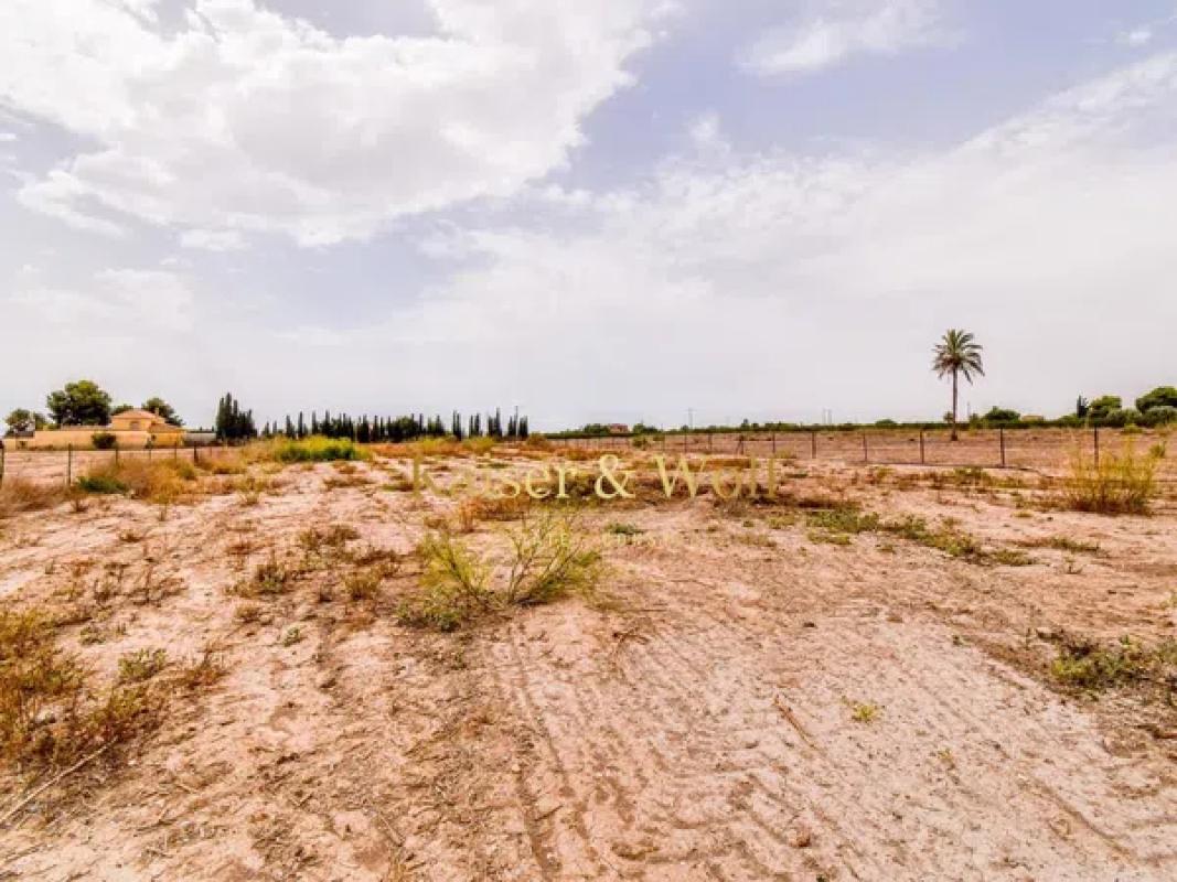 Land for sale in Elche / Elx, Alicante photo 4