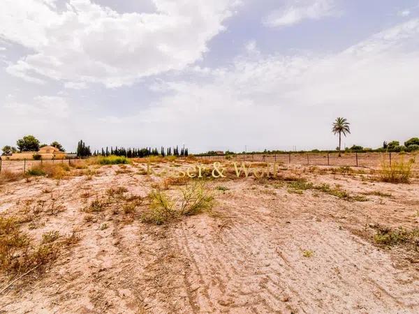 Terreno en carretera Elx - Santa Pola photo 4