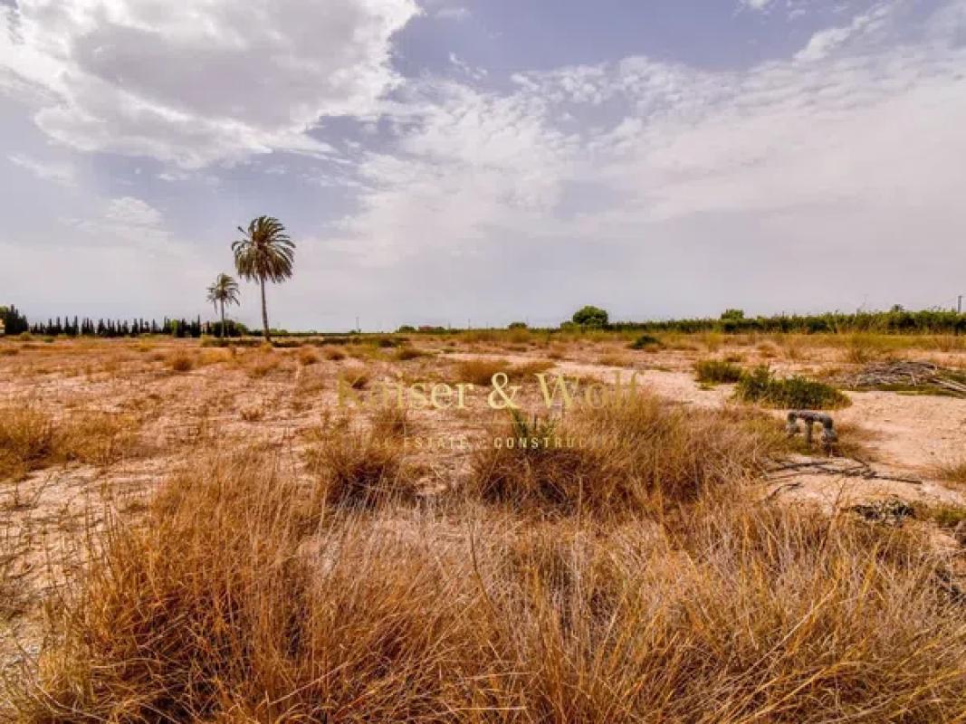 Land for sale in Elche / Elx, Alicante photo 5