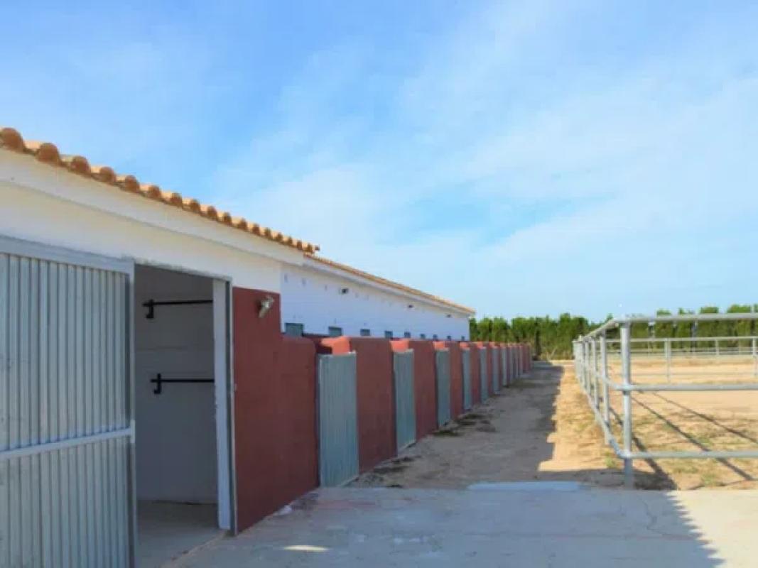 Terreno en venta en San Miguel de Salinas, Alicante photo 1