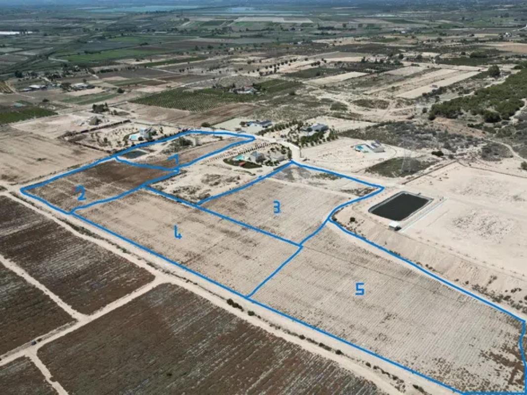 Terreno en venta en Elche / Elx, Alicante photo 2