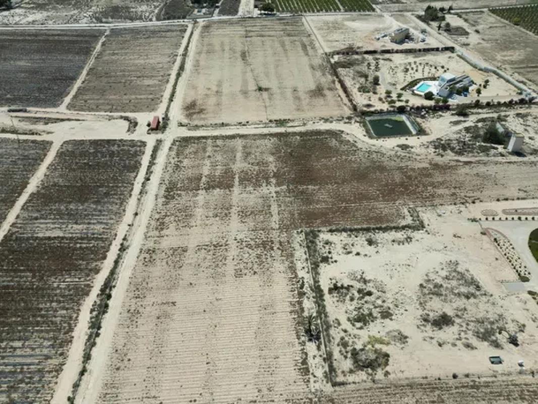 Terreno en venta en Elche / Elx, Alicante photo 4
