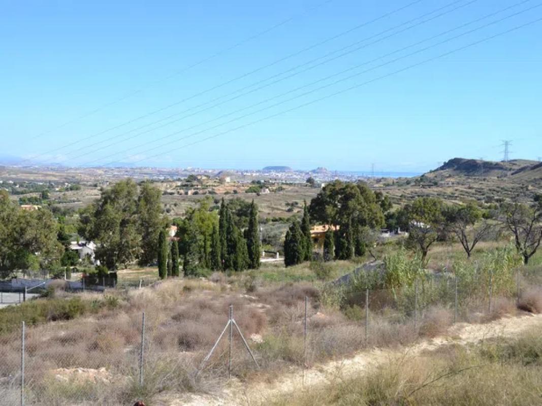 Terreno en venta en Elche / Elx, Alicante photo 2