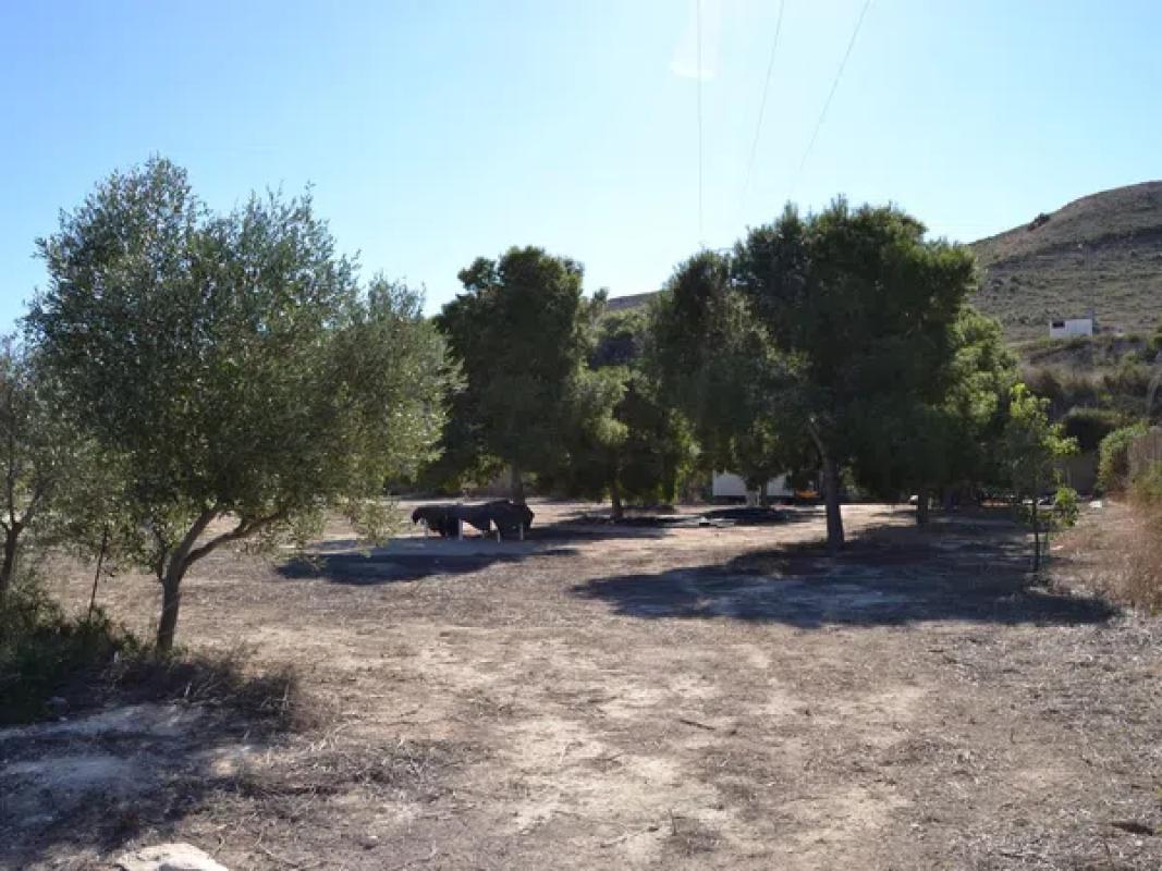 Terreno en venta en Elche / Elx, Alicante photo 4