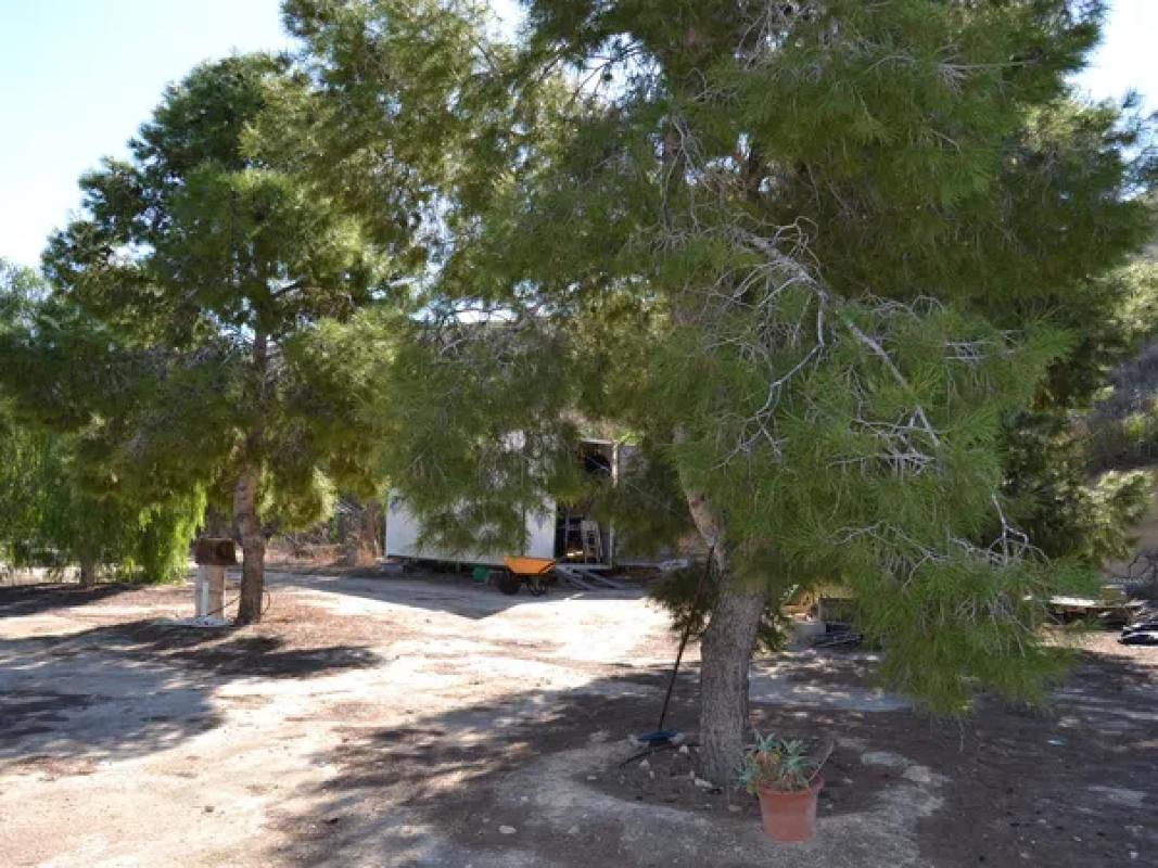 Terreno en venta en Elche / Elx, Alicante photo 5