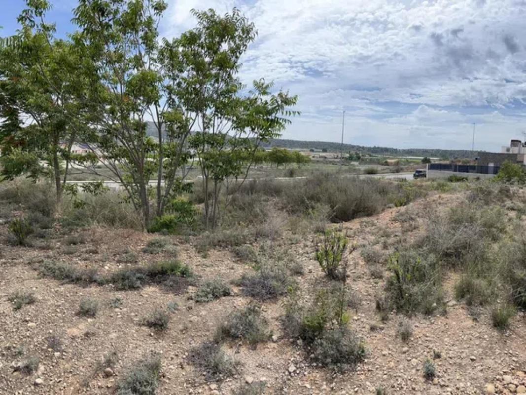 Land for sale in Monforte del Cid, Alicante photo 2