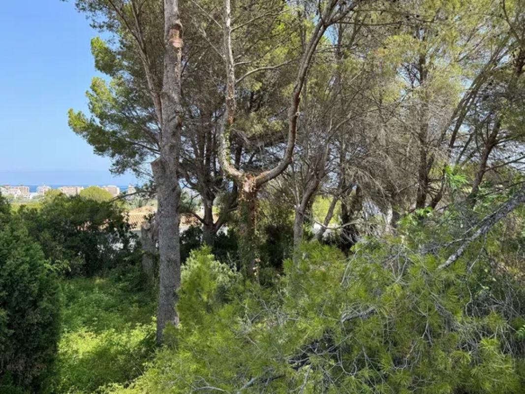 Terreno en venta en Jávea/Xàbia, Alicante photo 2
