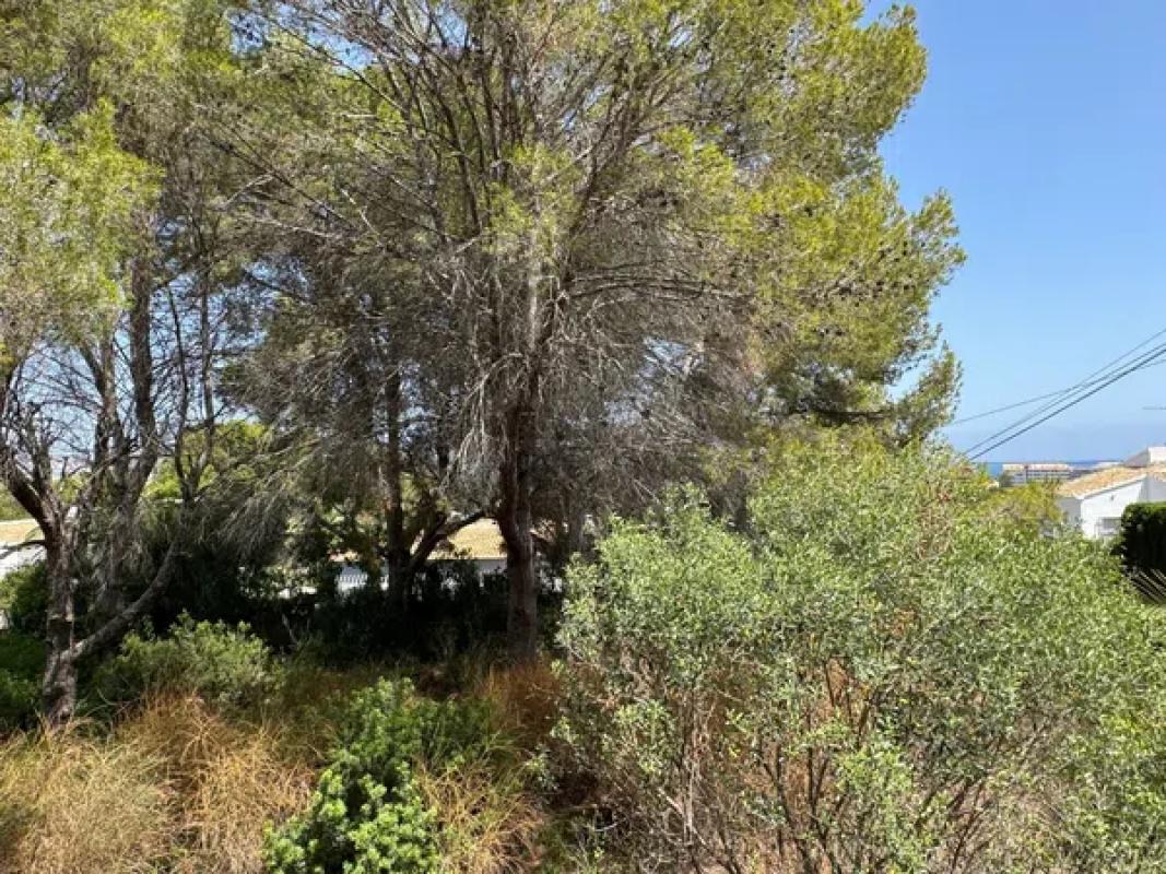 Terreno en venta en Jávea/Xàbia, Alicante photo 4