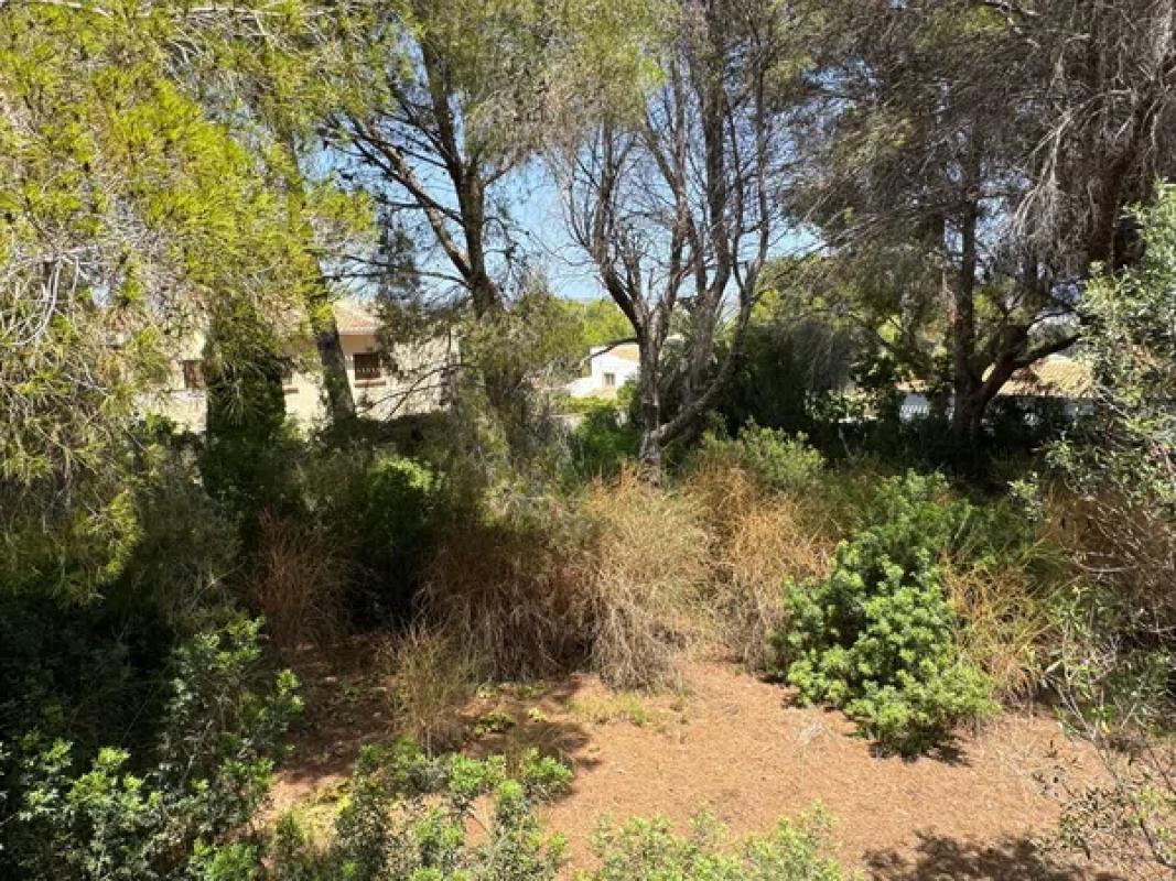 Terreno en venta en Jávea/Xàbia, Alicante photo 5