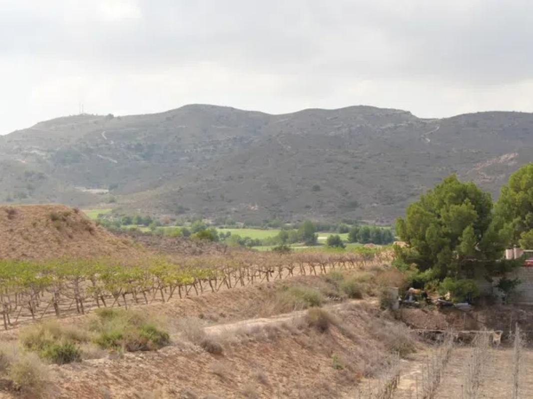Land for sale in Monforte del Cid, Alicante photo 2