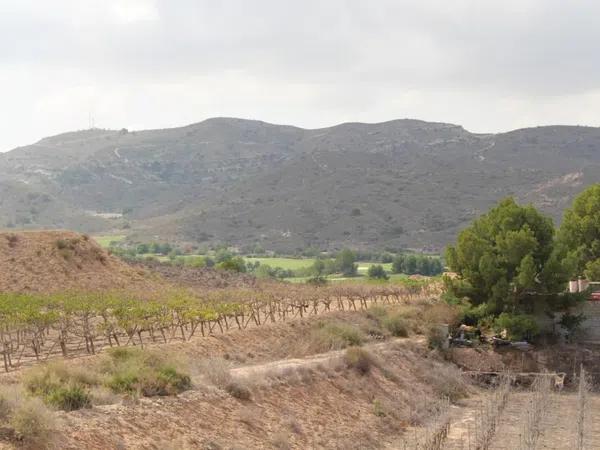 Terreno en calle Carlos Arniches photo 2