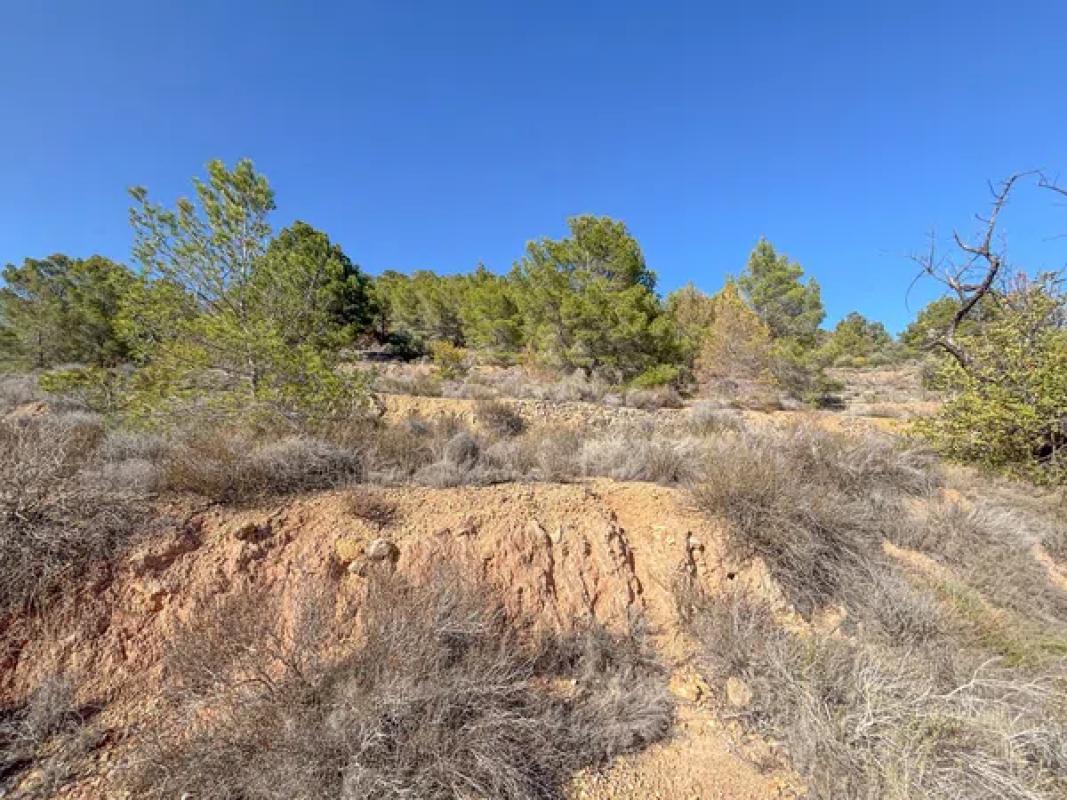 Terreno en venta en La Nucia, Alicante photo 4