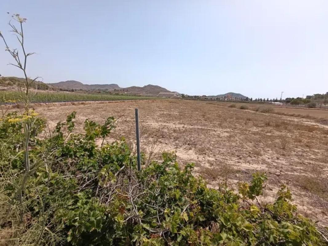 Terreno en venta en Hondón de los Frailes, Alicante photo 2