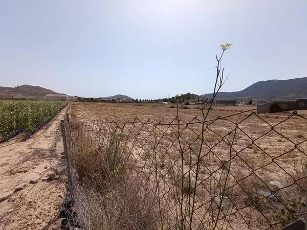 Terreno en Hondón de los Frailes thumbnail 3