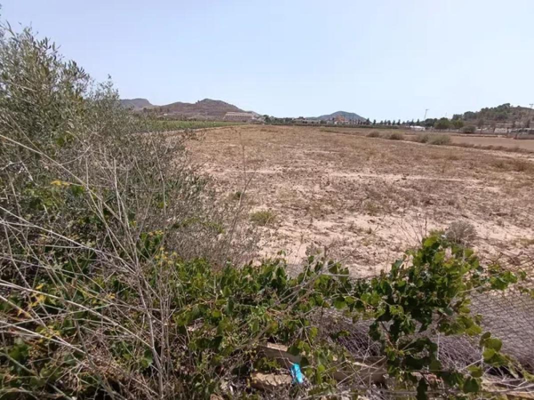 Terreno en venta en Hondón de los Frailes, Alicante photo 4