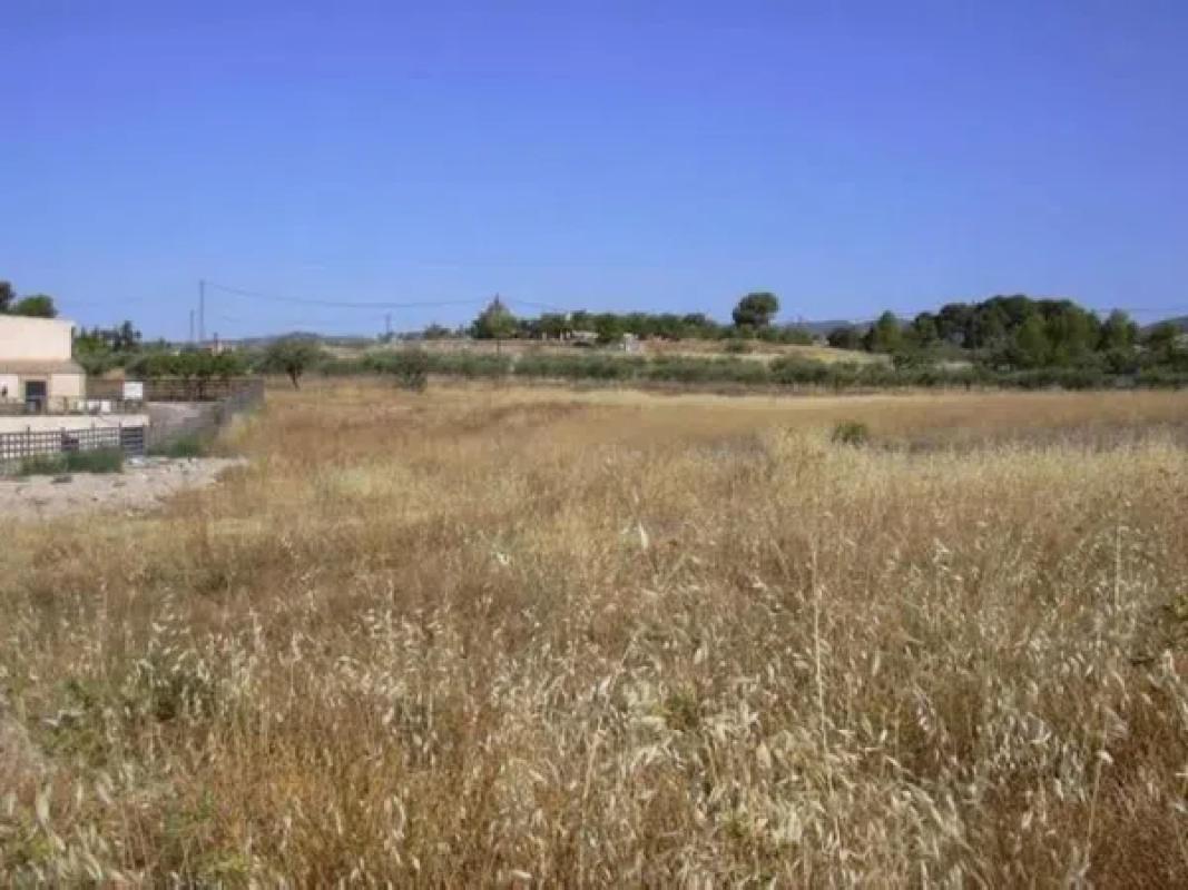 Land for sale in Ibi, Alicante photo 3