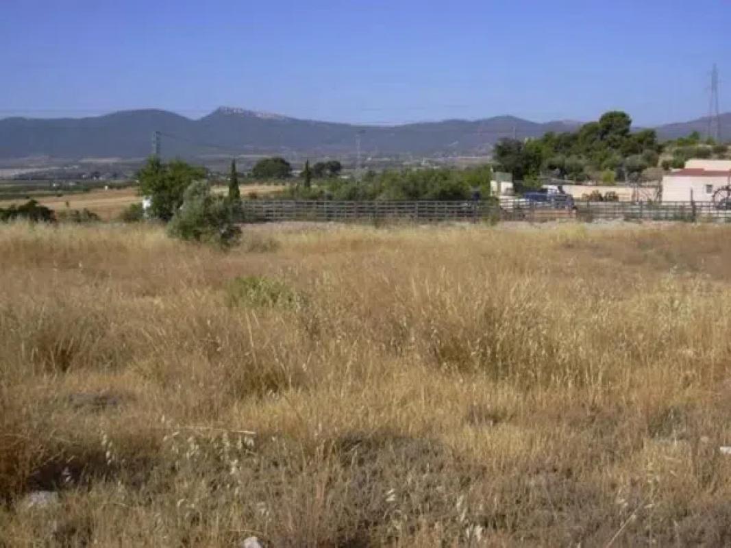 Land for sale in Ibi, Alicante photo 4