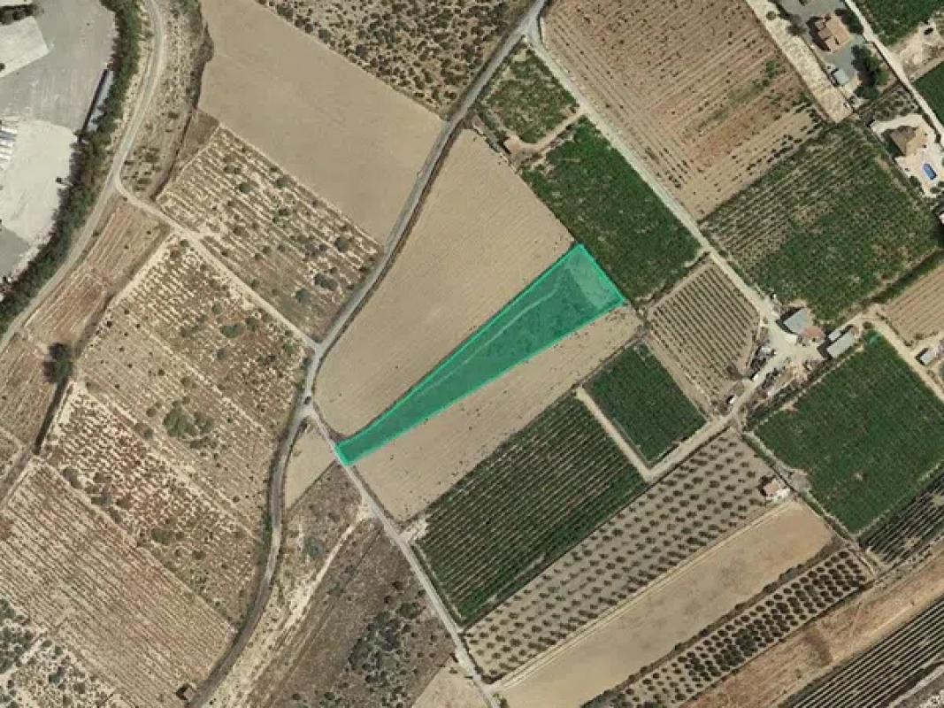 Terreno en venta en Aspe, Alicante photo 1