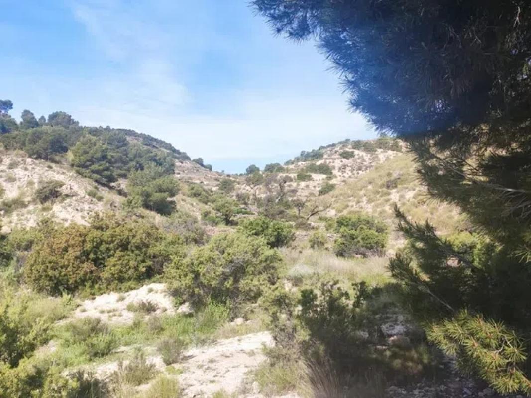 Terreno en venta en El Campello, Alicante photo 2