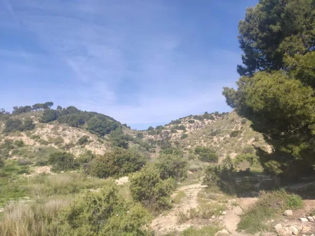Terreno en venta en El Campello, Alicante photo 5