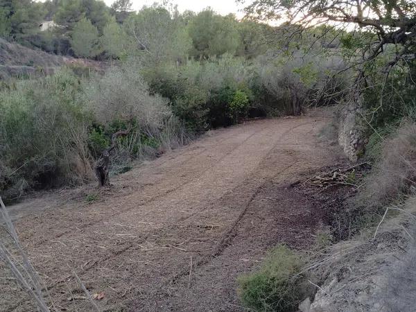 Terreno en Pda. l'Anjup, 3 Poligonoparcela photo 1