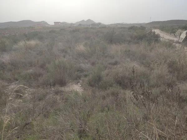 Terreno en Agost photo 4