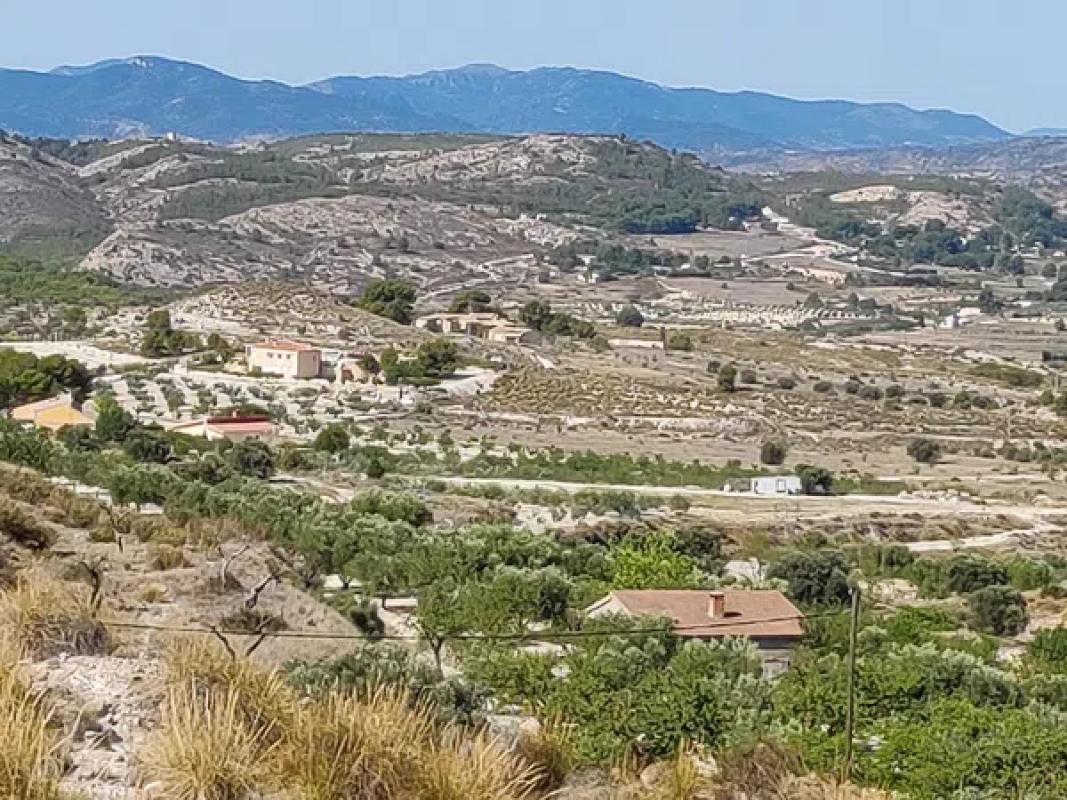 Terreno en venta en Petrer, Alicante photo 2