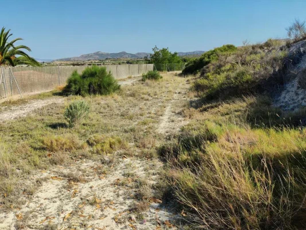 Terreno en venta en Petrer, Alicante photo 5