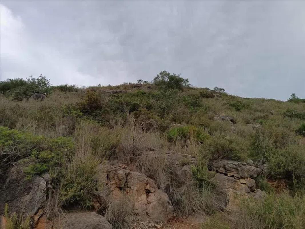 Terreno en venta en Rafol de Almunia, Alicante photo 1