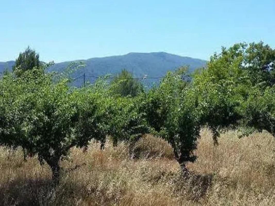 Terreno en venta en L'Lorcha/Orxa, Alicante photo 4