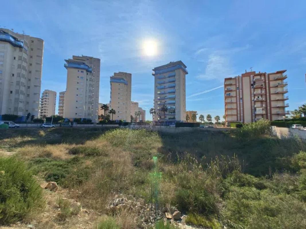 Terreno en venta en Guardamar del Segura, Alicante photo 5