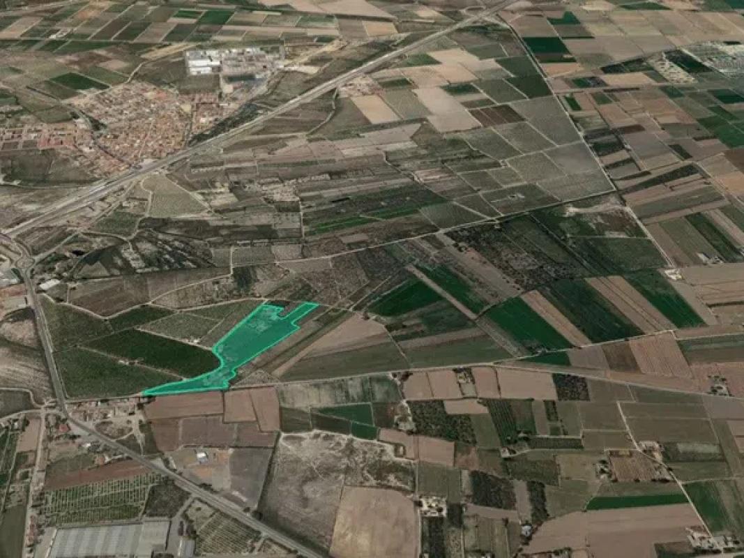 Terreno en venta en Albatera, Alicante photo 3
