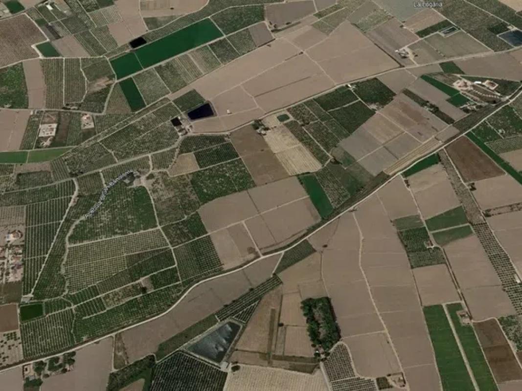 Terreno en venta en Almoradí, Alicante photo 3