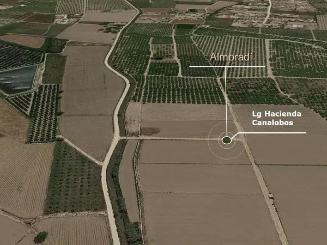 Terreno en venta en Almoradí, Alicante photo 4