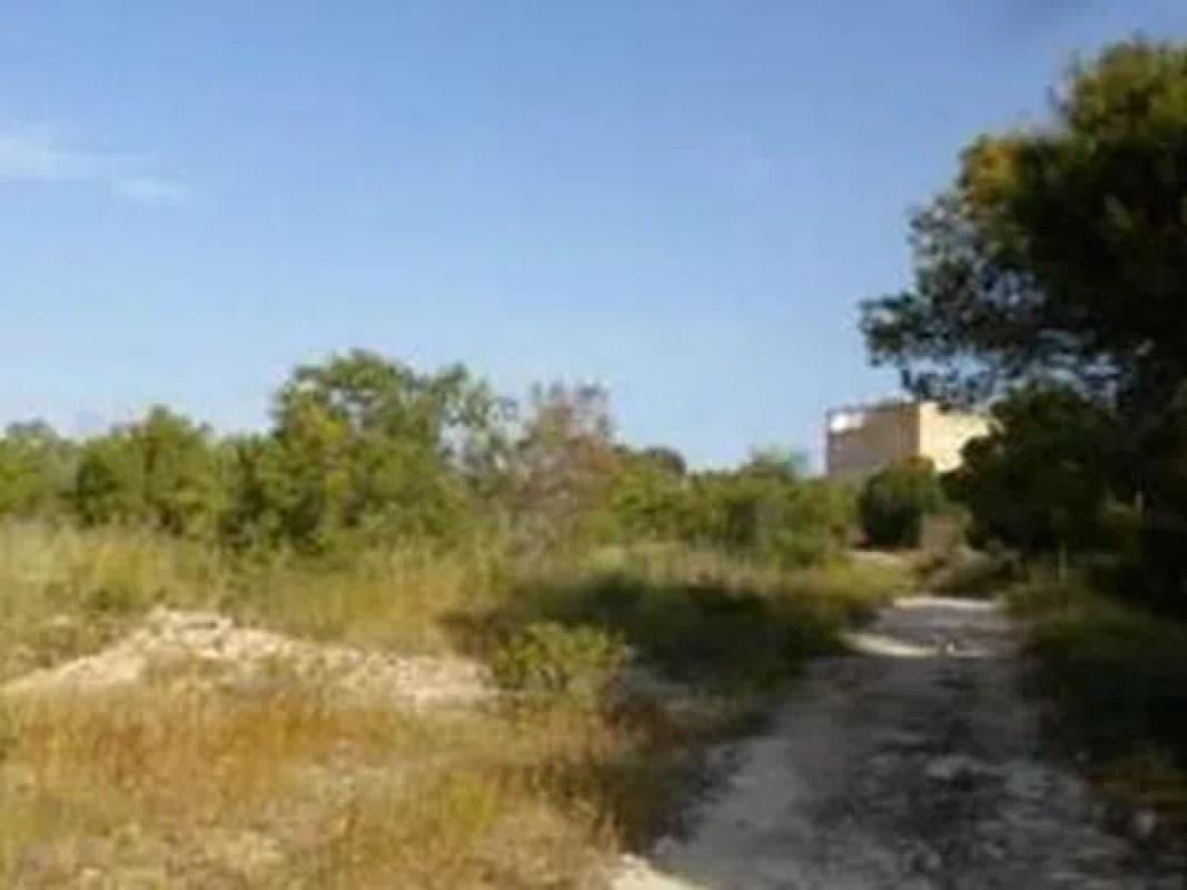 Działka na sprzedaż w Guardamar del Segura, Alicante photo 3
