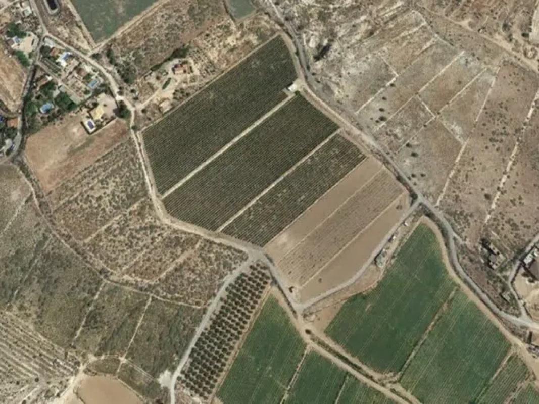 Terreno en venta en Novelda, Alicante photo 3