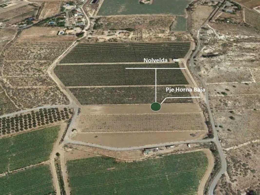 Terreno en venta en Novelda, Alicante photo 4