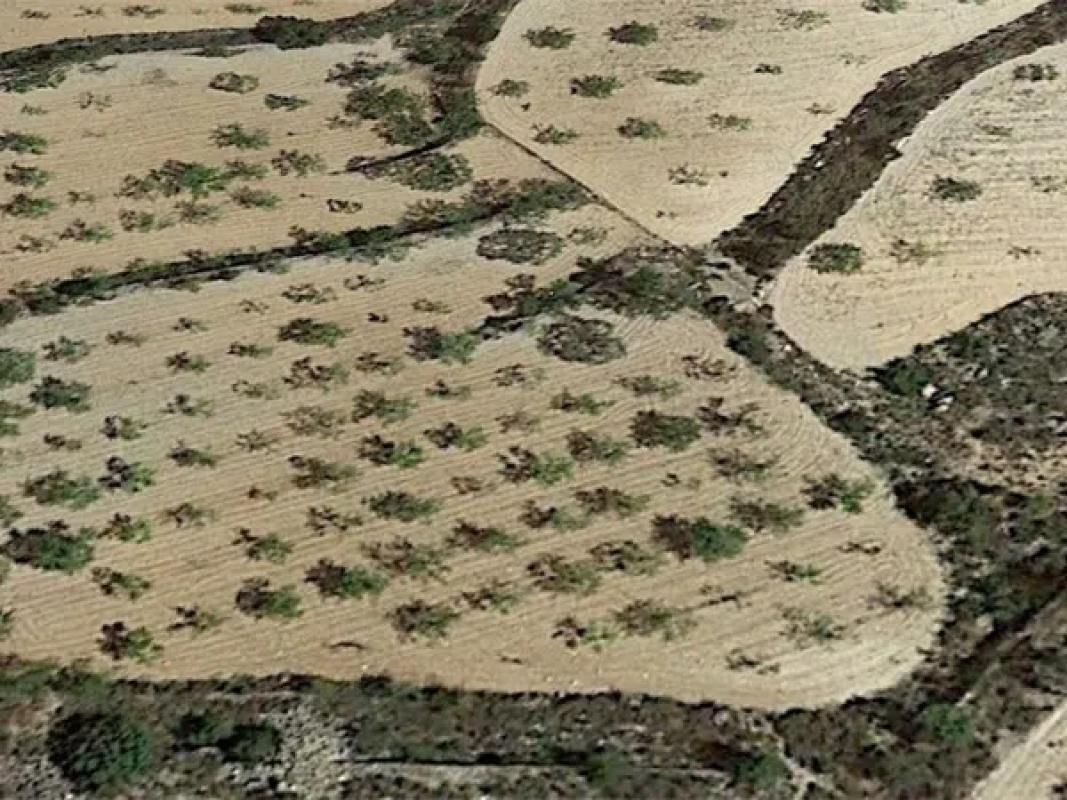 Terreno en venta en La Romana, Alicante photo 3