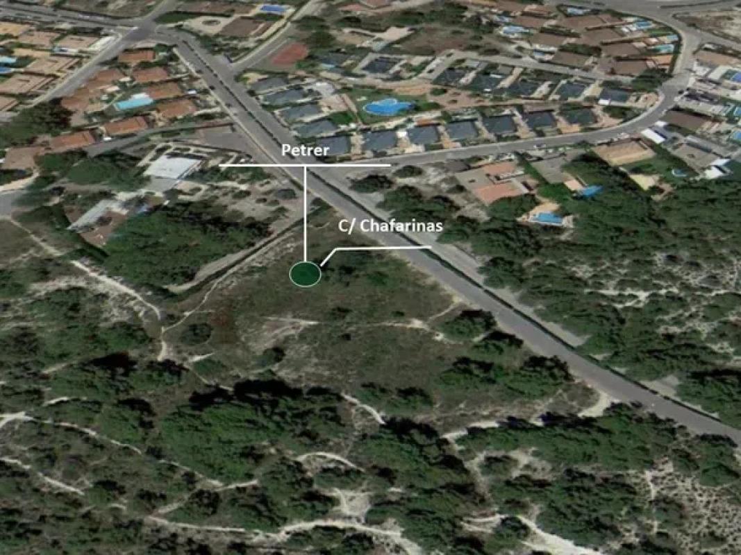 Terreno en venta en Petrer, Alicante photo 4