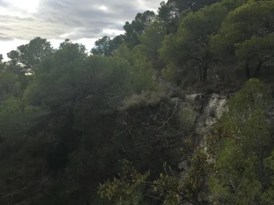 Działka na sprzedaż w Finestrat, Alicante photo 5