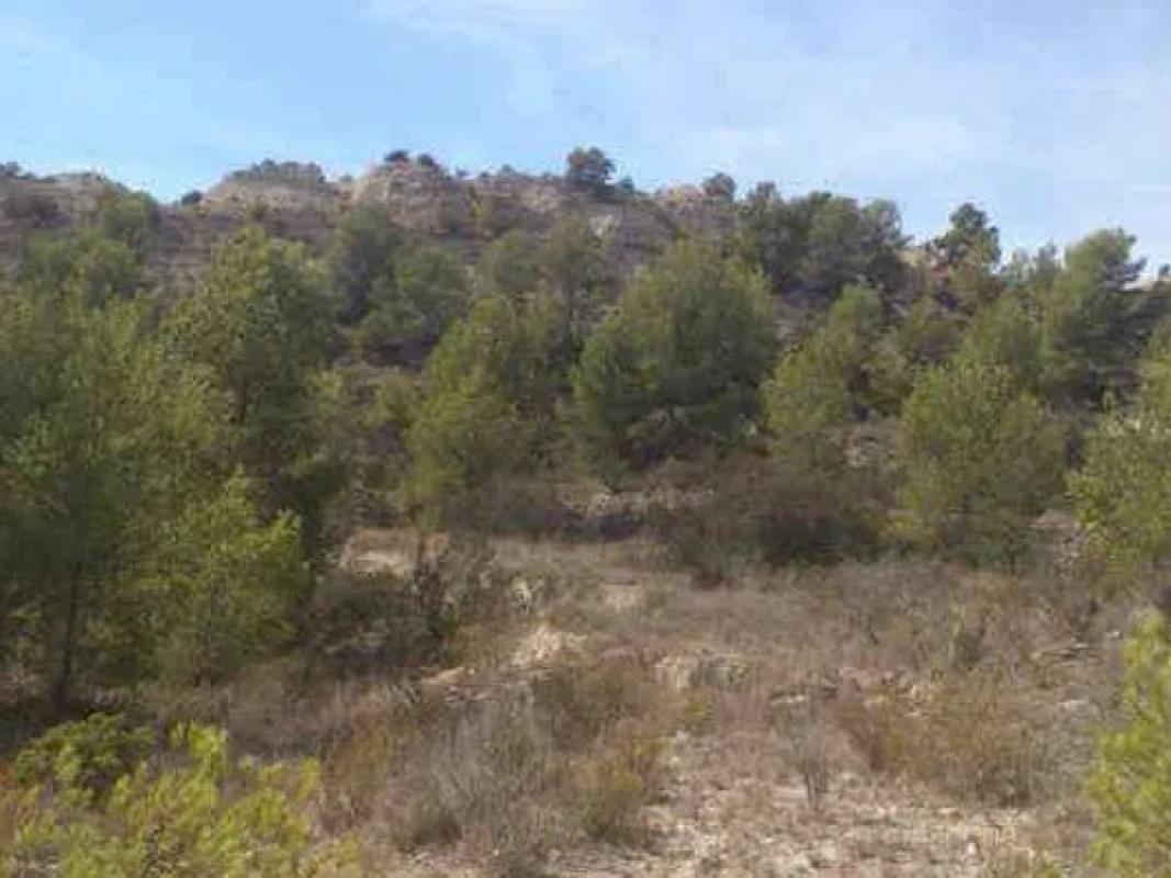 Land for sale in La Villajoyosa / Vila Joiosa, Alicante photo 5