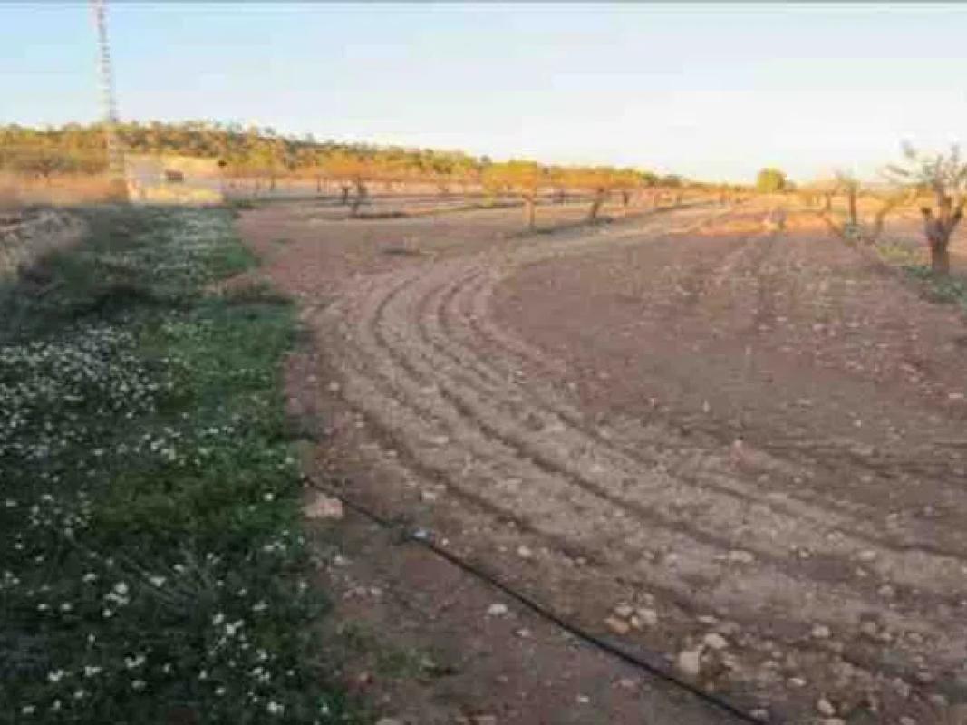 Terreno en venta en Monovar, Alicante photo 3