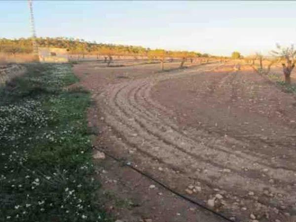 Terreno en via sense nom photo 3