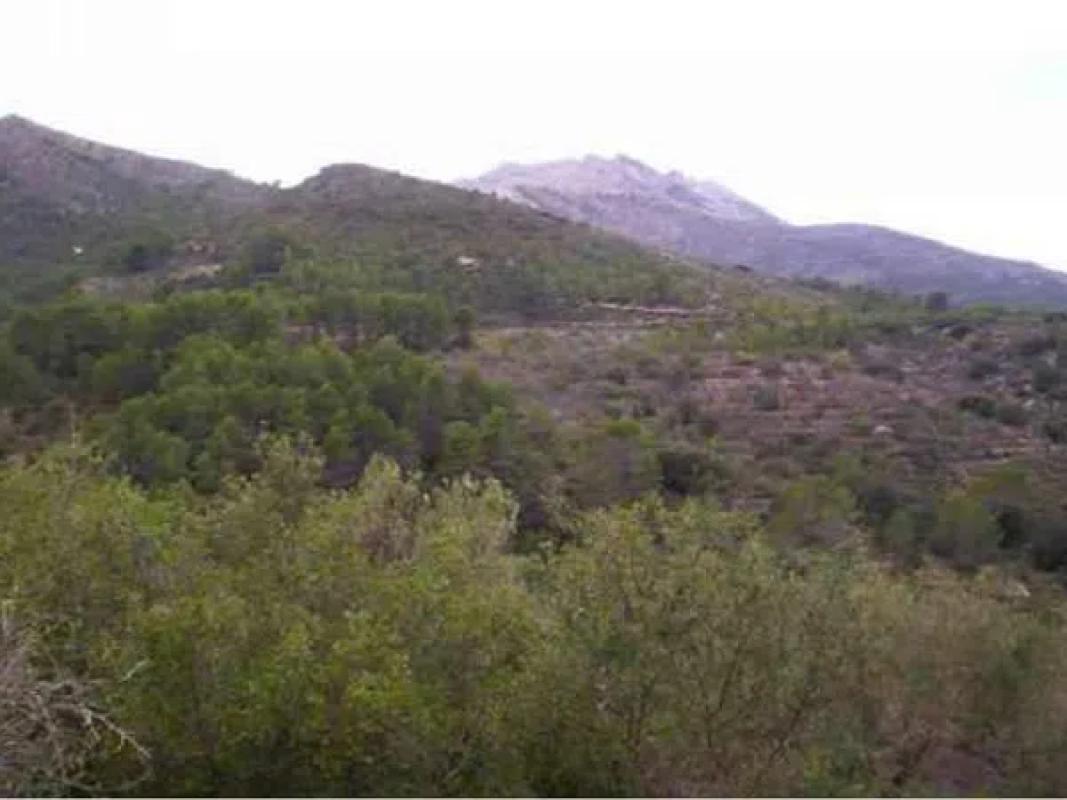 Terreno en venta en Castell de Castells, Alicante photo 4