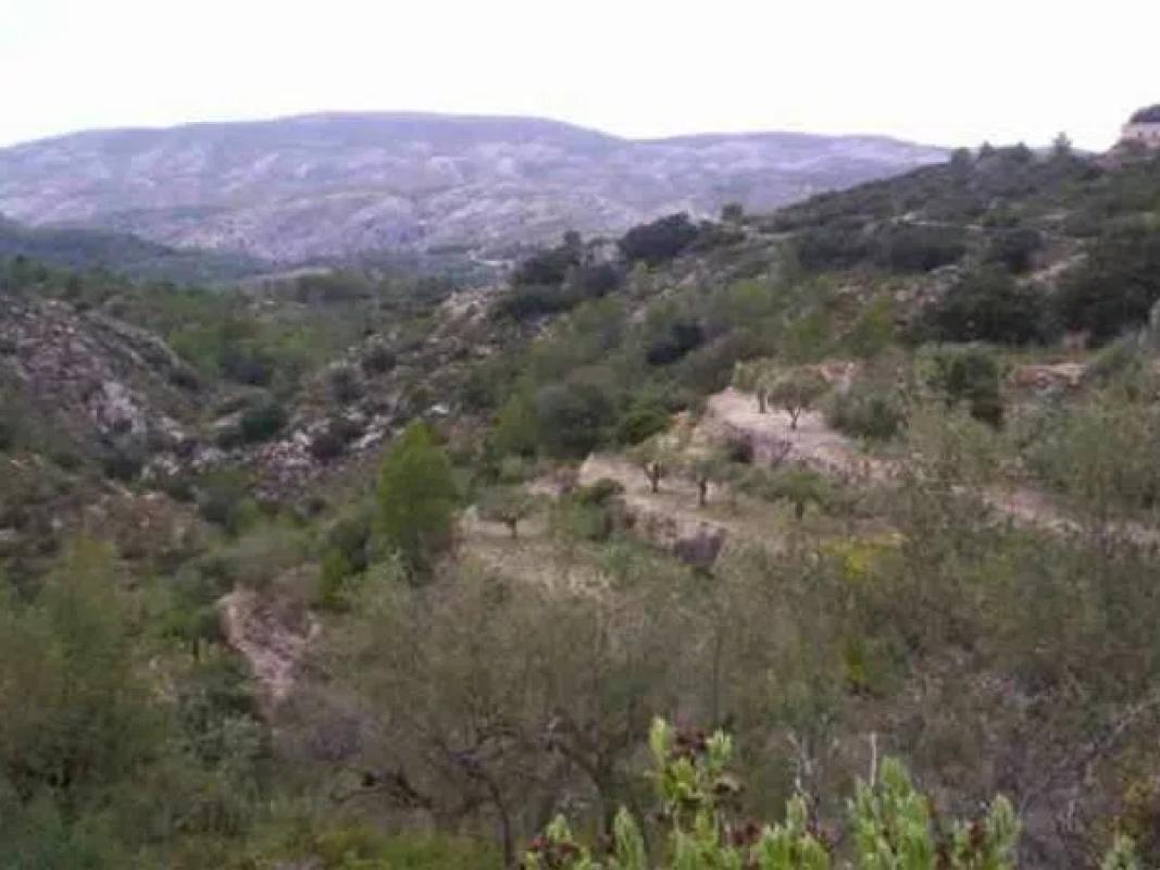 Terreno en venta en Castell de Castells, Alicante photo 5